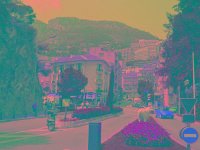 IMGP2820 edited (Medium)